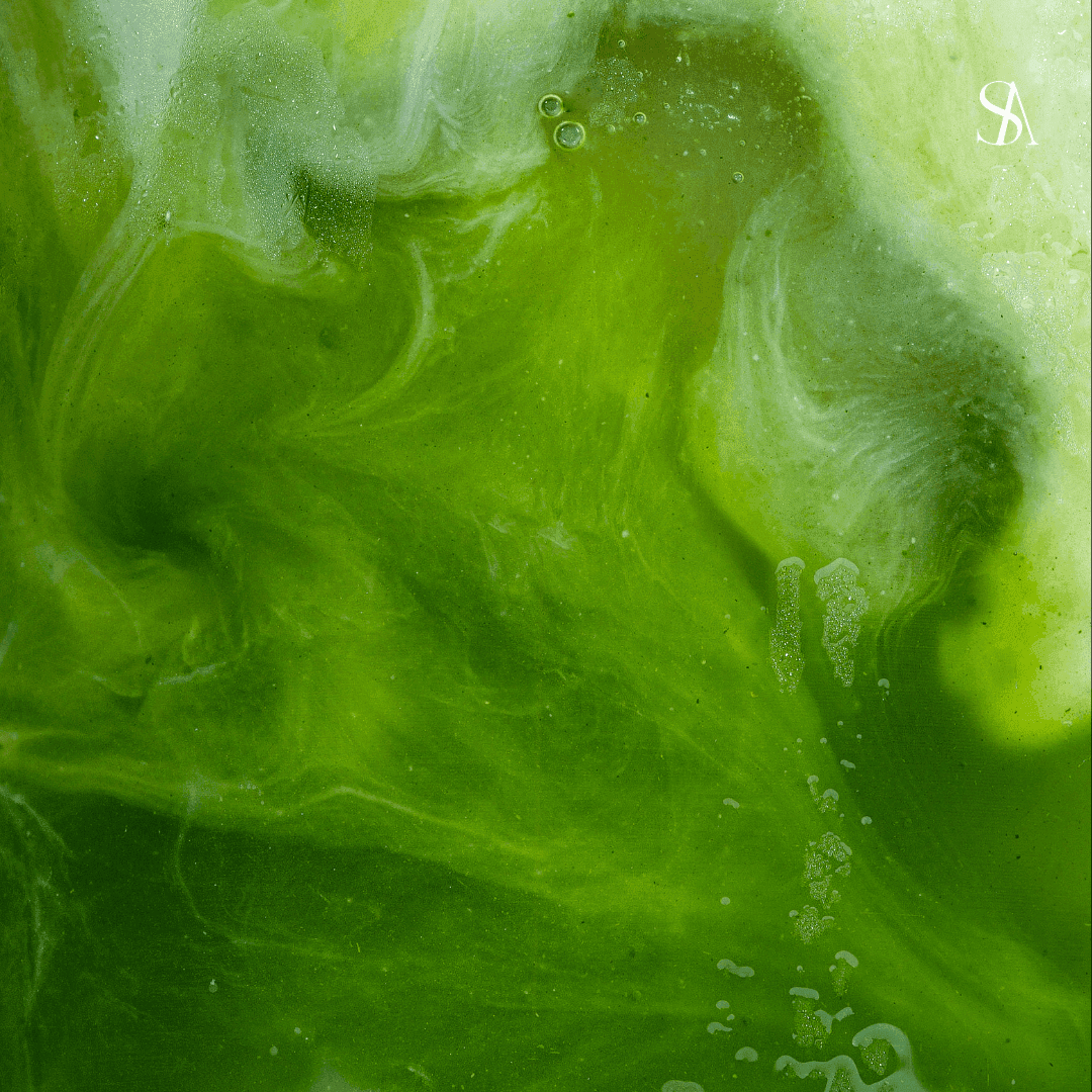 Matcha for Your Face? Benefits, Science, and What to Expect