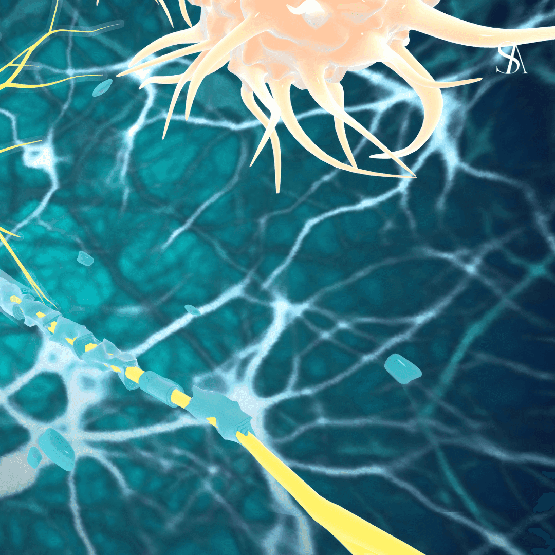 Endocrine Disruptors and The Skin