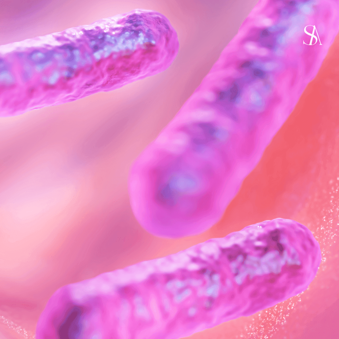 The Skin–Gut Axis: Where the Science Actually Stands